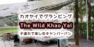 the wild khao-yai