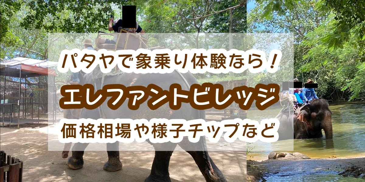 pattaya-elephant-village