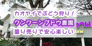 khao-yai-grapes-farm